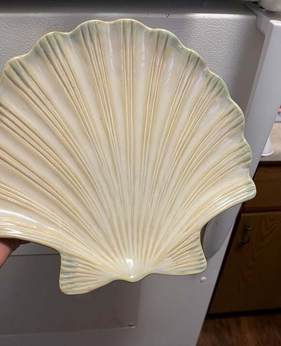 Shoreline Collection Home Studio Other - Home Studio Shoreline Collection Scallop Shell Dinner Plate
Set of 7 plates